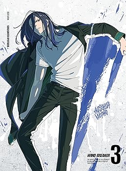 šWIND BREAKER 3() [DVD]