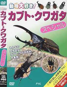 šۥ֥ȡ塞 ڥ [DVD]