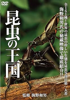 【中古】昆虫の王国 [DVD]