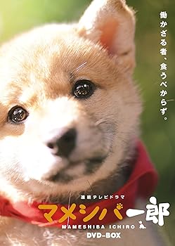 【中古】連続テレビドラマ マメシバ一郎 DVD-BOX