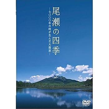 šλ͵ 000ǯλ缾 [DVD]