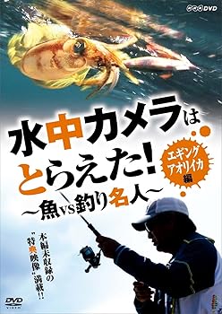【中古】水中カメラはとらえた! 魚VS釣り名人 エギング アオリイカ編 [DVD]【メーカー名】【メーカー型番】【ブランド名】Nhk エンタープライズ ドキュメンタリー, ホビー・実用 趣味: Actor【商品説明】水中カメラはとらえた! 魚VS釣り名人 エギング アオリイカ編 [DVD]画像はサンプル写真のため商品のコンディション・付属品の有無については入荷の度異なります。※中古品のため「限定」「初回」「保証」「DLコード」などの表記がありましても、特典・付属品・保証等は付いておりません。※コミック、CD、DVD、VHSは、レンタルアップ品の場合もございます。気になる方は購入前にお問い合わせください。中古品のため使用に影響ない程度の使用感・経年劣化（傷、汚れなど）がある場合がございます。※中古品の特性上ギフトには適しておりません。当店では初期不良に限り、商品到着から5日間は返品を受け付けております。お問い合わせ・メールにて不具合詳細をご連絡ください。お客様都合での返品はお受けしておりませんのでご了承ください。他モールとの併売品の為、売り切れの場合はご連絡させて頂きます。★ご注文からお届けまで1、ご注文（24時間受付）2、注文確認⇒当店から注文確認メールを送信致します3、在庫確認⇒中古品は受注後に、再メンテナンス、梱包しますので、お届けまで3日〜10日程度とお考え下さい。※海外在庫の場合は2〜3週間程度でのお届けとなります。4、入金確認⇒前払い決済をご選択の場合、ご入金確認後、配送手配を致します5、出荷⇒配送準備が整い次第、出荷致します。配送業者、追跡番号等の詳細をメール送信致します。6、到着⇒出荷後、1〜3日後に商品が到着します。※離島、北海道、沖縄は遅れる場合がございます。予めご了承下さい。お電話でのお問合せは少人数で運営の為受け付けておりませんので、お問い合わせ・メールにてお願い致します。ご来店ありがとうございます。当店では良品中古を多数揃えております。お電話でのお問合せは少人数で運営の為受け付けておりませんので、お問い合わせ・メールにてお願い致します。