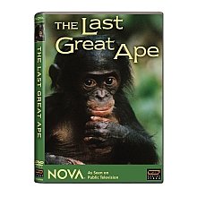šNova: Last Great Ape [DVD]
