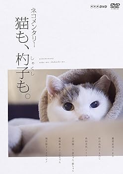 【中古】ネコメンタリー 猫も、杓子も。 [DVD]