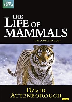 【中古】BBC The Life of Mammals -哺乳類の世界- DVD-BOX (10エピソード, 498分) BBC EARTH ライフシリーズ [DVD] [Import] [PAL, 再生環境をご確認くだ