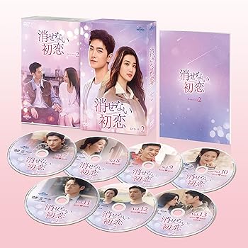 【中古】消せない初恋 DVD-SET2