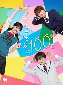 【中古】君が死ぬまであと100日 (DVD BOX) (特典なし)