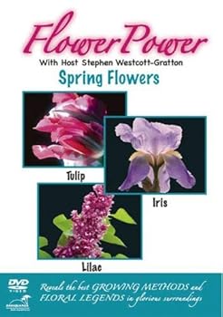 Flower Power: Spring Flowers 