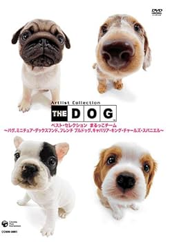 【中古】THE DOG ベスト・セレクション まるっこチーム ~パグ、ミニチュア・ダックスフンド、フレンチ..
