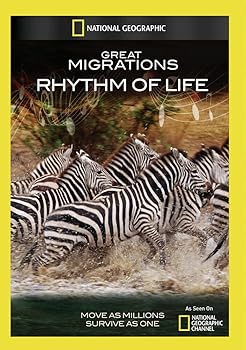 【中古】Great Migrations: Rhythm of Life [DVD]
