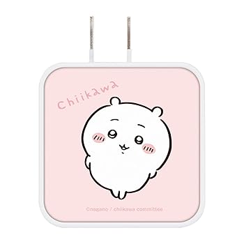 šۥޥǥ(Gourmandise)  USB/USBType-C ACץ  CK-03A