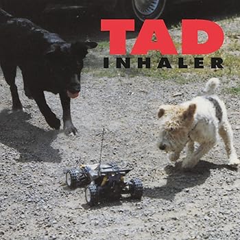 Inhaler - Limited 180-Gram Magenta Colored Vinyl 