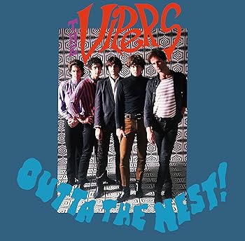 【中古】Outta the Nest! [Analog]