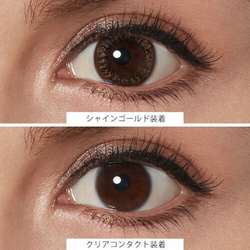 [y] BELTA ベルタ 2Week カラーコンタクト シャインゴールド -2.50 度あり (6枚) 2週間 使い捨て