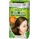 【T】 花王 ブローネ 香りと艶カラー 高浸透クリーム 4H ハニーブラウン 医薬部外品 白髪用ヘアカラー