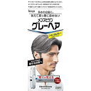 ホーユー メンズビゲン グレーヘア ナチュラルグレー (80g) 【医薬部外品