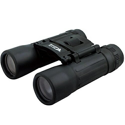 双眼鏡 10×25(倍率10倍) BINOCULARS　専