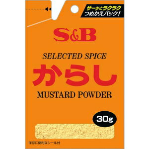 【在庫処分】 賞味期限：2024年6月15日 S&B 袋入りからし (30g) 調味料