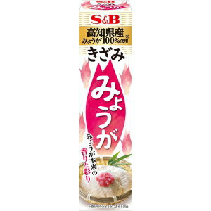 【在庫処分】 賞味期限：2024年8月17日 S&B きざみみょうが (38g) 調味料 漬物