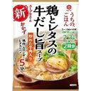 【在庫処分】 賞味期限:2025年9月30日 キッコーマン うちのごはん 鶏とレタスの牛だし旨スープ (2~3人前×2回分) 調味料