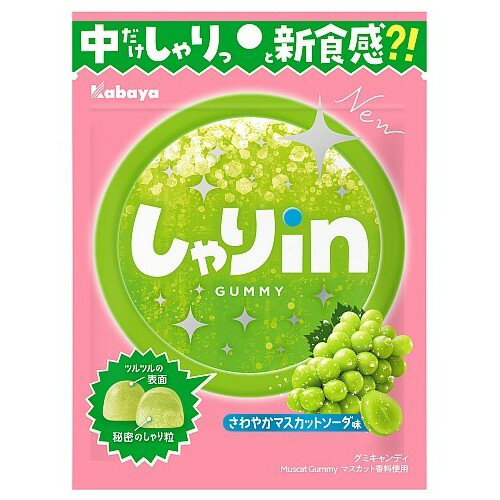 ں߸˽ʬ ̣¡2025ǯ12 Х in ޥåȥ (52g) ۻ