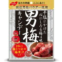 【A】 ノーベル製菓 男梅キャンデー (80g) 菓子