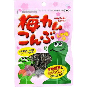 【訳あり】 賞味期限：2023年7月30日 上田昆布 梅カムこんぶ しそ梅味 (10g) つまみ 珍味のサムネイル