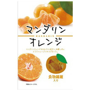 【訳あり】 賞味期限：2022年10月30日 共立 マンダリンオレンジ (48g) ドライフルーツ