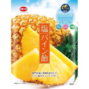 加藤製菓 塩パイン飴 (58g) 菓子のサムネイル