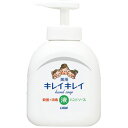 【医薬部外品】 ライオン キレイキレイ 薬用 液体ハンドソープ 本体 (250ml) 殺菌成分配合(4)