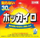 興和　ホッカイロ　レギュラー　貼らない (30個入) 足腰などの保温に！の商品画像