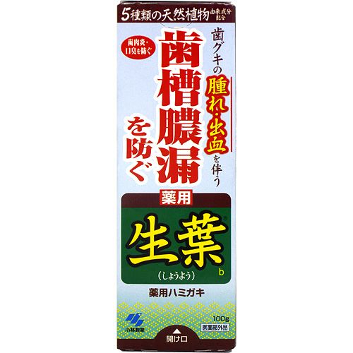 小林製薬 薬用歯みがき 生葉(100g) 歯槽膿漏を防ぐ はみがき粉