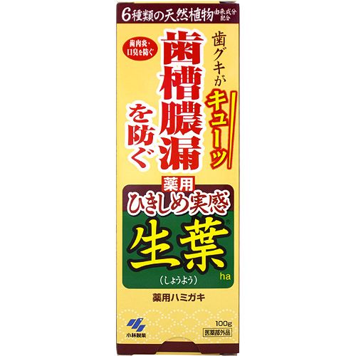 小林製薬　薬用歯みがき　生葉ひきしめ実感タイプ(100g)　歯槽膿漏を防ぐ　はみがき粉