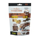 【J】GEX ジェックス RepDeli トカゲブレンドフード 200g
