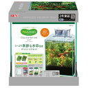 MeGreen 新鮮な水草 グラステリア200セット (1個) 水槽セット