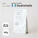 SCENE FACTORY ROASTERS シングルオリジン グアテマラ 100g