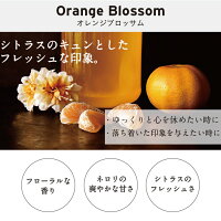 ディフューザーアロマディフューザー楽天ランキング1位LAYEREDFRAGRANCEレイヤードフレグランスディフューザー【人気アロマディフューザースティックルームフレグランスプレゼントギフトアロマ芳香剤癒し香り空間インテリアアイテムレモンローズ】