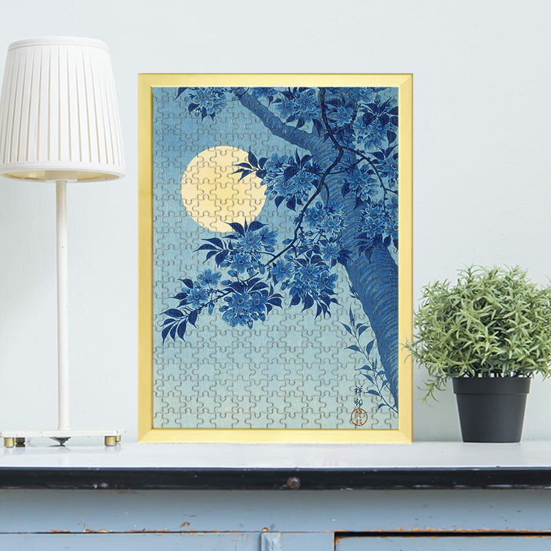 ��˲� ������� 0562 ���������ѥ��� �ѥ��� 300�ԡ��� �� �������� ������� ̾�� ͷ�� ���ե饤�� �Ҷ� ����� ����� �񤷤� �͵� ����ƥꥢ...