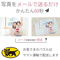 パズルは数日でお届けが可能です