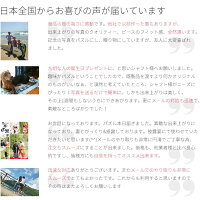 オーダーメイドパズル購入者の写真と、お客さまの声