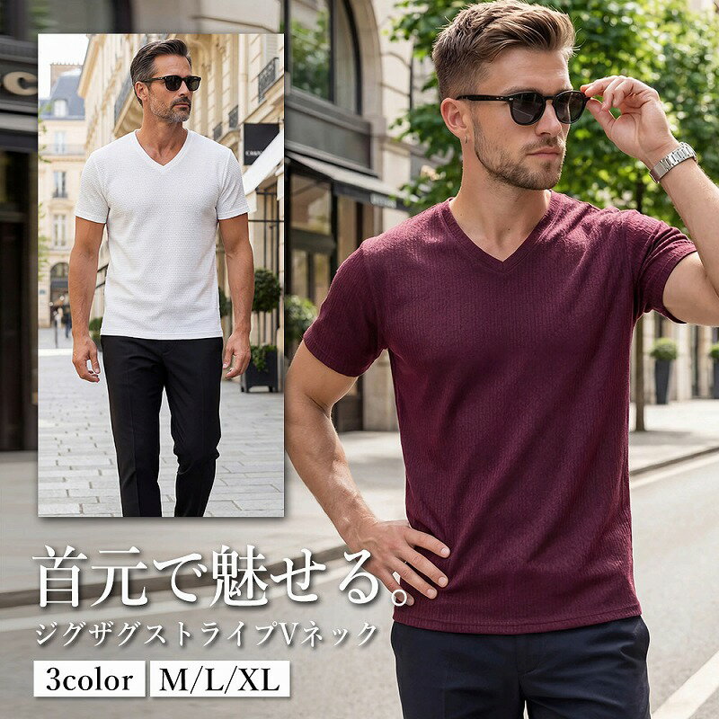 Rakuten - イケオジ Tシャツ メンズ 40代 50代 60代 XL LL 大きいサイズ 半袖 Vネック カットソー ジャガード織り ストライプ ストレッチ 伸縮性 白 黒 無地 トップス インナー アンダーウェア 重ね着 スリム 細身 タイト 透けにくい 吸汗速乾 着痩せ 快適 清潔感 春 夏