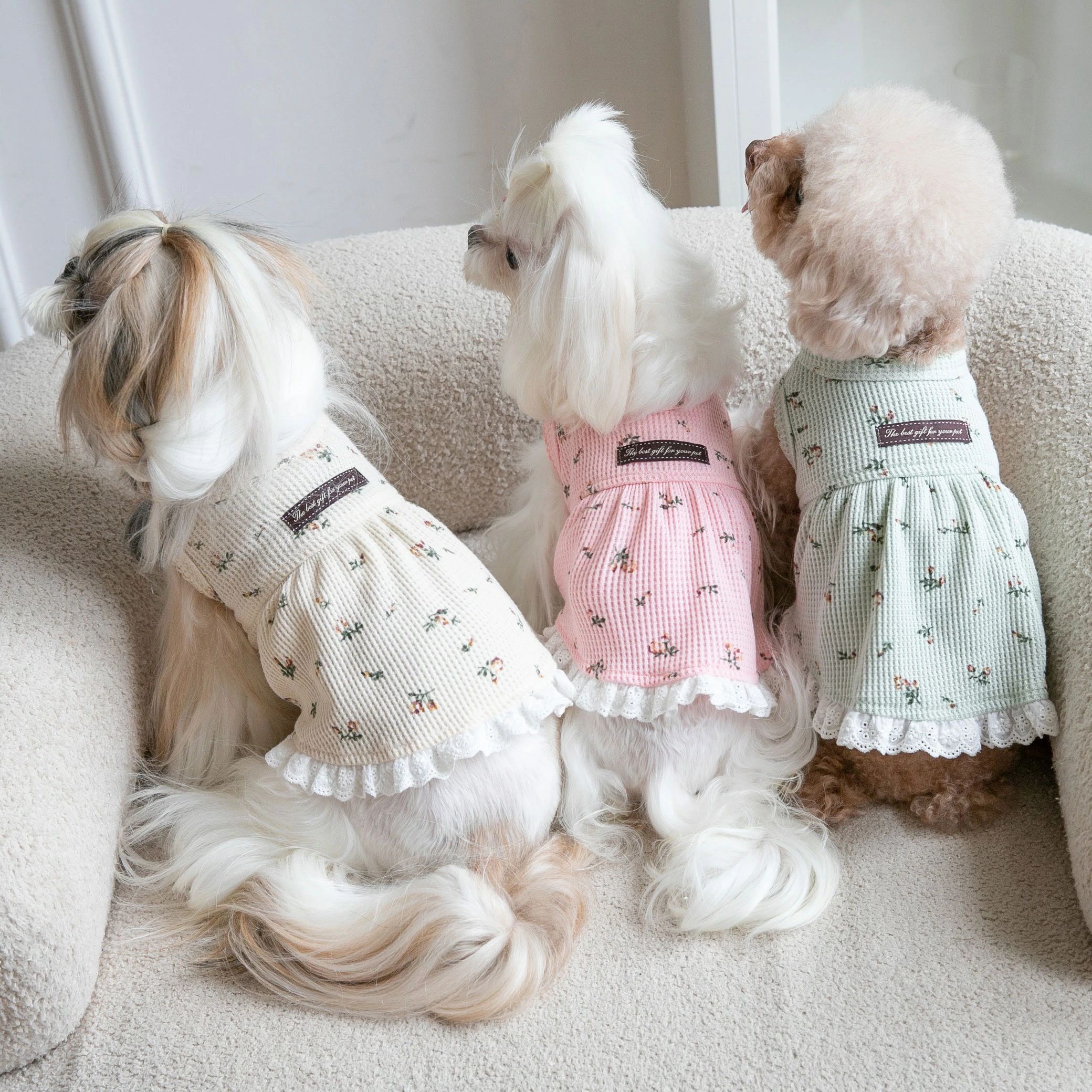 Rakuten - 散歩 お洒落 綿質 上質 かわいい 可愛い ペット服 服 フレンチブルドッグ 猫服 犬の服 ドッグウェア フリル 春 夏 ワンピース