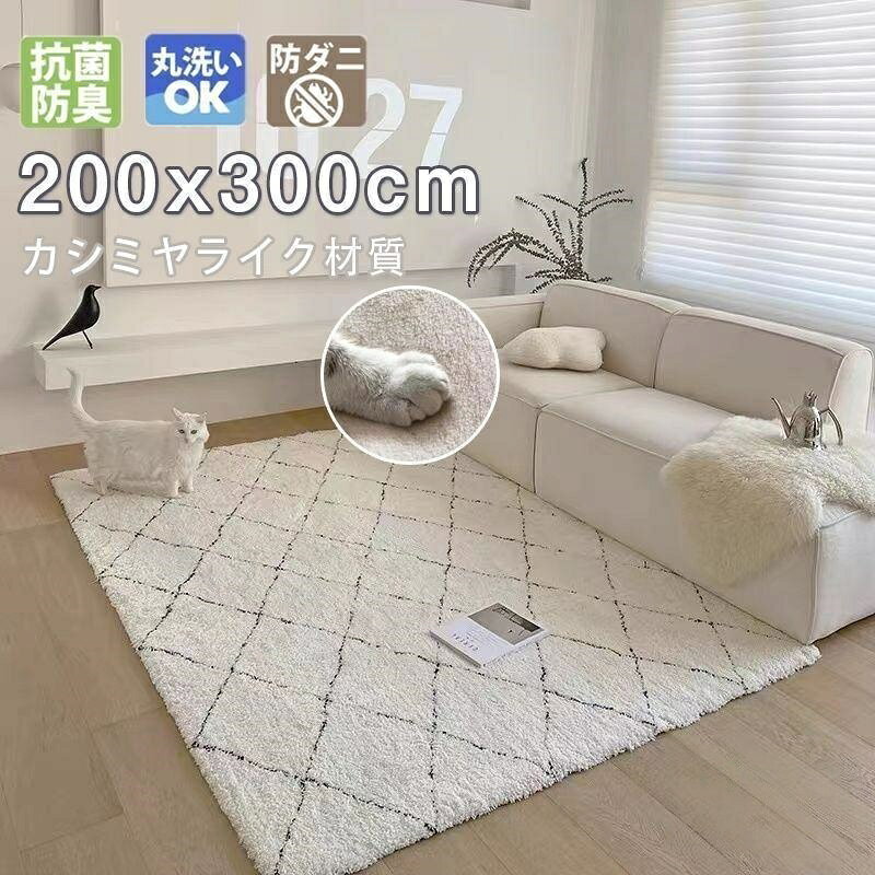 ラグ 洗える 滑り止め付 カーペット 6畳 おしゃれ オールシーズン 最大サイズ200×300まで 北欧 ホットカーペット 冬 絨毯 シャギーラグ ラグマットラグマット マット schik-10021346 schik パッケージ画像