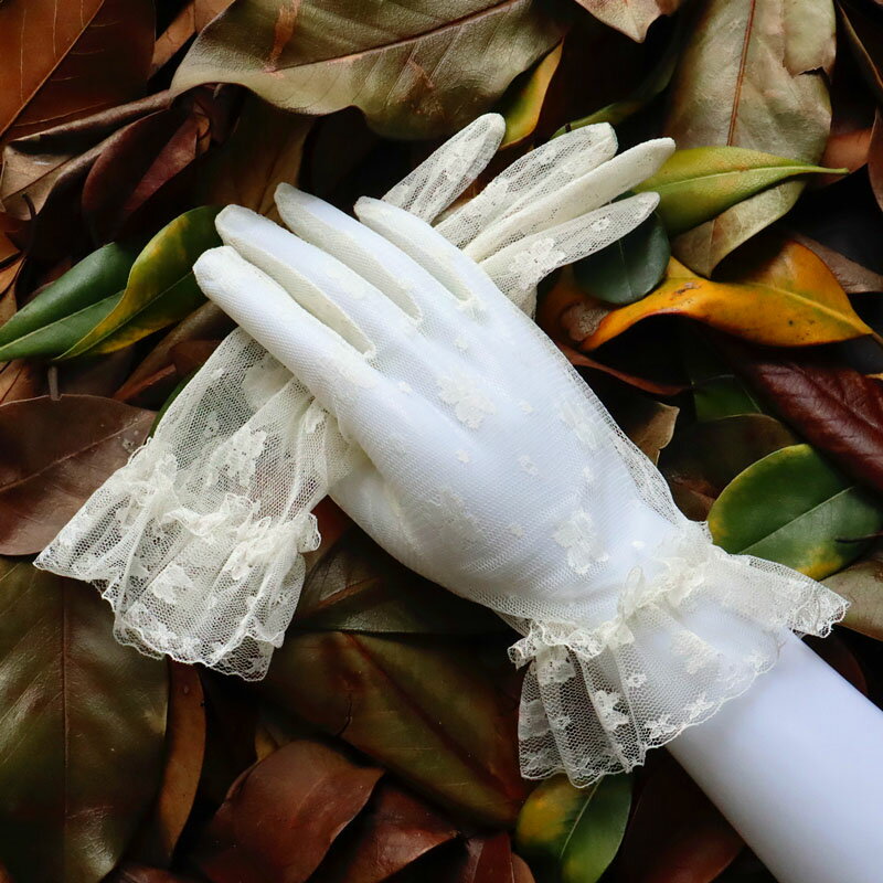 �����ǥ��� �������� �ֲ� �뺧�� �󼡲� ������ �졼�� �����ǥ��󥰥ɥ쥹 ��ʪ �̿��򻣤� ���� �֥饤���� �������� �� �뺧�� ���� ��� �֥饤���� ���� ͥ�� ����ƻ��