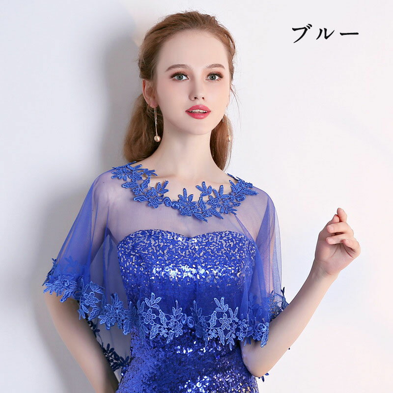 �֥饤���륱���� �ֲ� �ɥ쥹������ Ʃ���� �졼�������� �뺧�� ������ ���쥬��� �����ǥ��󥰥��硼�� �ɽ� �֥饤���� ��ʪ �ڤ䤫 �ե����ޥ륱���� �η����С� ������ �ե��å���� �����ǥ��󥰥��ȡ��� ���ݤ� �ղ��� ȯɽ��