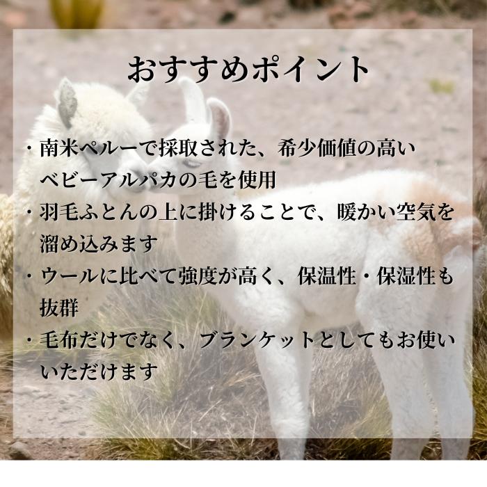 アルパカ毛布 AP2685 アルパカ ベビーアルパカ シングル 150×200cm 軽い 暖かい やわらかい ひざかけ ひざ掛け ブランケット ギフト プレゼント ペルー ハンドメイド 天然素材 Allpa シェーンベルグ [3]