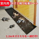 ネズミ捕り 粘着シート 1.2m 長い 大判 業務用 室内用 ホットメルト 耐久性 粘着板 繰り返し使用可能 送料無料(3)