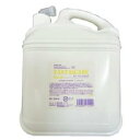 ナプラ HB ファンタスケア Dシャンプー 4000ml