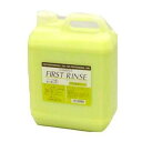 サブリナ ファースト リンス 4000ml 【取り寄せ商品A】