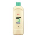 ウエラ スタイルフォーム ヘアコントロール S（軟毛・損傷毛用）400ml